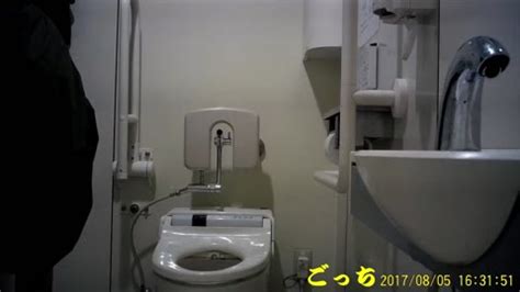 toilet voyeur japan|AEIL.